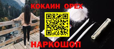 крисы Апшеронск