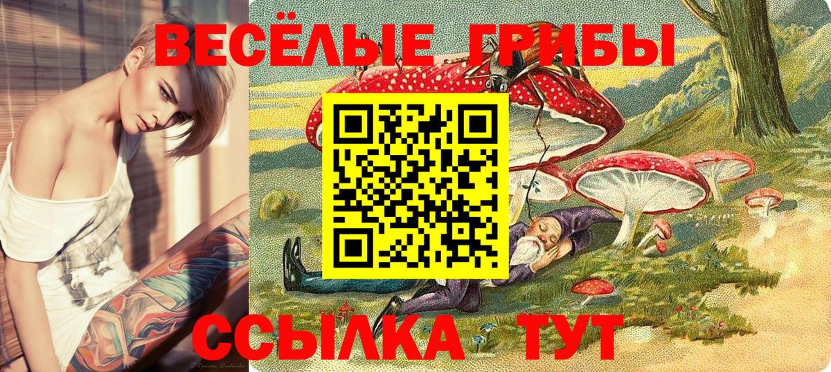 Псилоцибиновые грибы MAGIC MUSHROOMS Белая Калитва